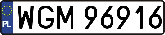 WGM96916