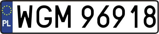 WGM96918