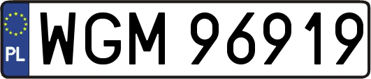 WGM96919
