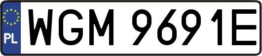 WGM9691E