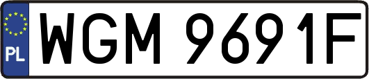 WGM9691F