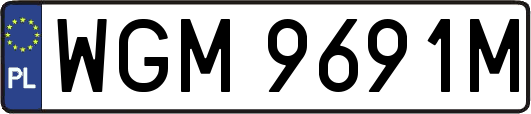 WGM9691M