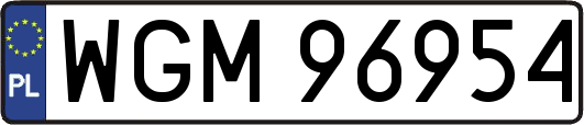 WGM96954