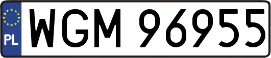 WGM96955
