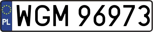 WGM96973