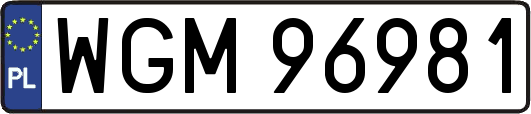 WGM96981