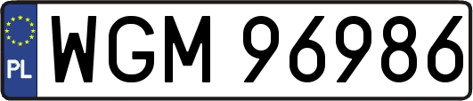 WGM96986