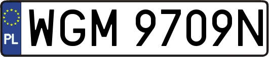WGM9709N