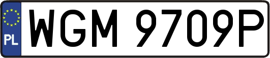 WGM9709P