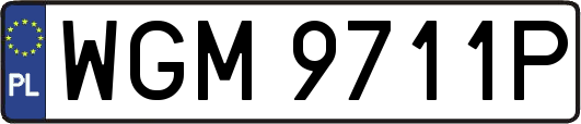 WGM9711P
