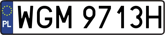 WGM9713H