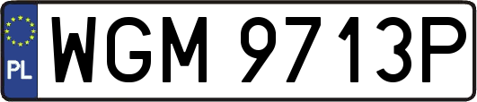 WGM9713P