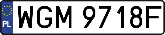 WGM9718F