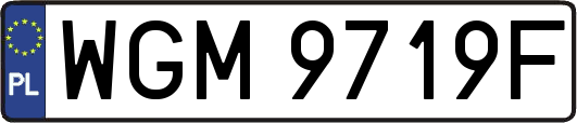 WGM9719F