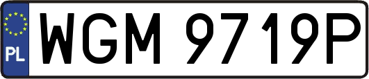 WGM9719P