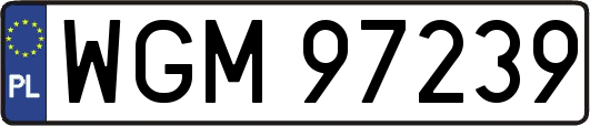 WGM97239