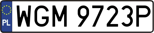 WGM9723P