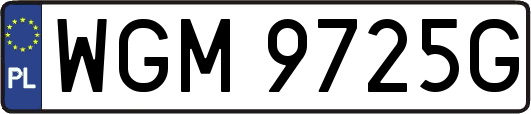 WGM9725G