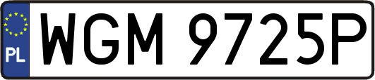 WGM9725P