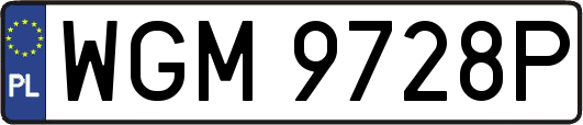 WGM9728P