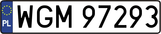 WGM97293