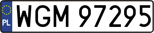 WGM97295
