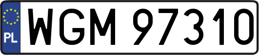 WGM97310