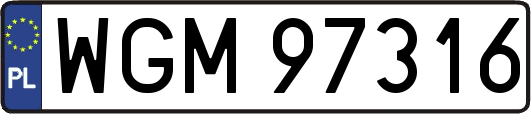 WGM97316
