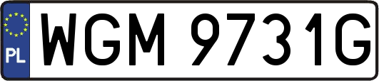 WGM9731G