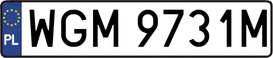 WGM9731M