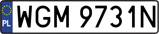 WGM9731N