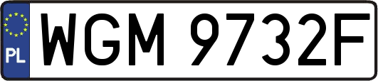 WGM9732F