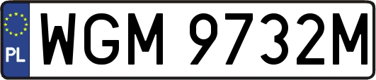 WGM9732M