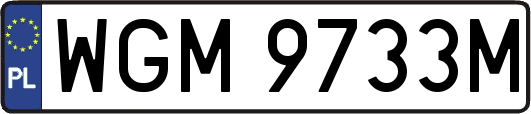 WGM9733M