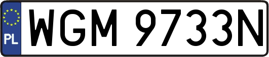 WGM9733N