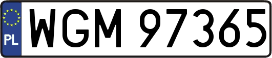 WGM97365