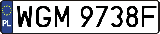 WGM9738F