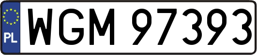 WGM97393