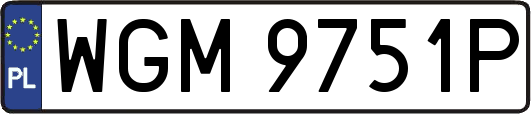 WGM9751P