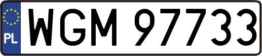 WGM97733