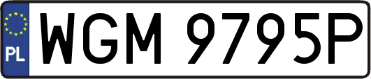 WGM9795P