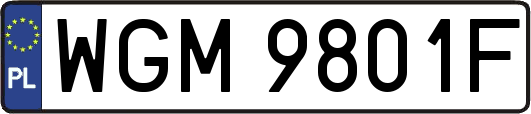WGM9801F