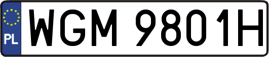 WGM9801H