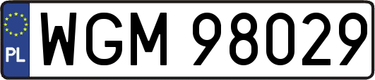 WGM98029