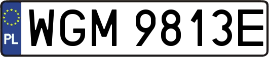WGM9813E
