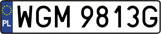 WGM9813G