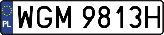 WGM9813H