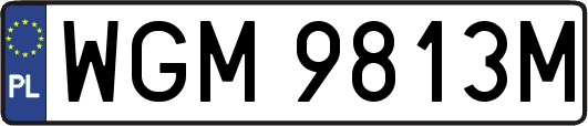 WGM9813M