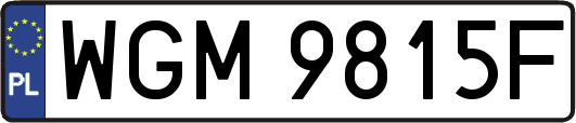 WGM9815F