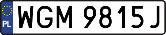 WGM9815J